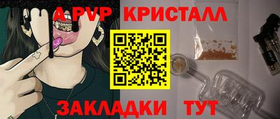 тгк Кингисепп