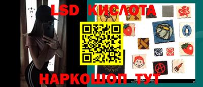 тгк Кингисепп