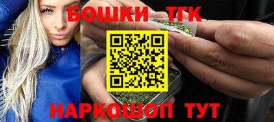 тгк Кингисепп