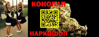 тгк Кингисепп