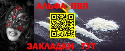 тгк Кингисепп