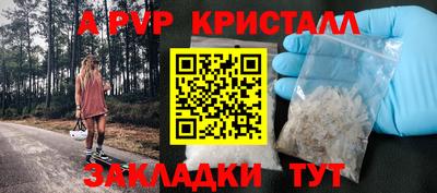 тгк Кингисепп