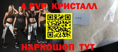 тгк Кингисепп