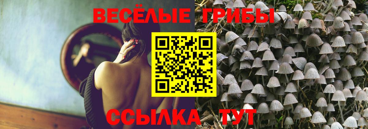 Кольчугино  Псилоцибиновые грибы мухоморы  Вход с VPN 